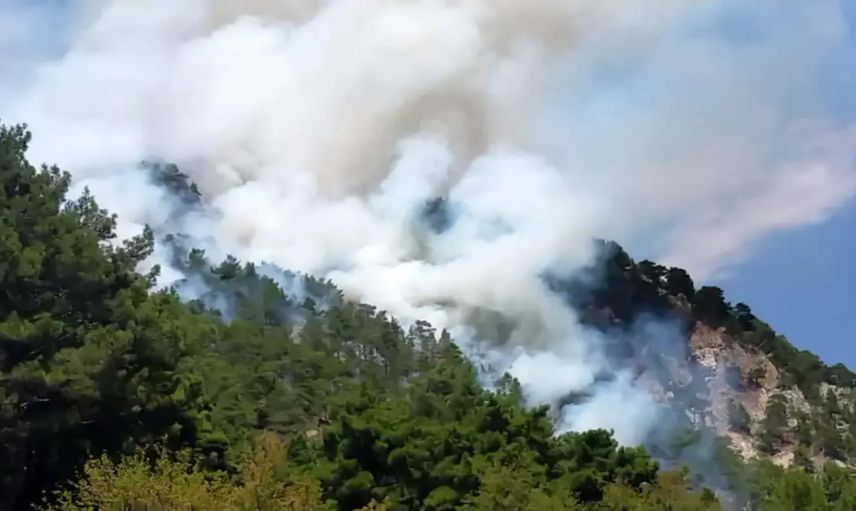 Son Dakika: Muğla, Antalya ve İzmir’de Orman Yangınları!