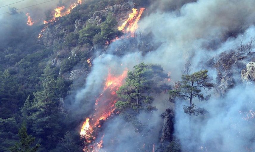 Son Dakika: Muğla’da Orman Yangını