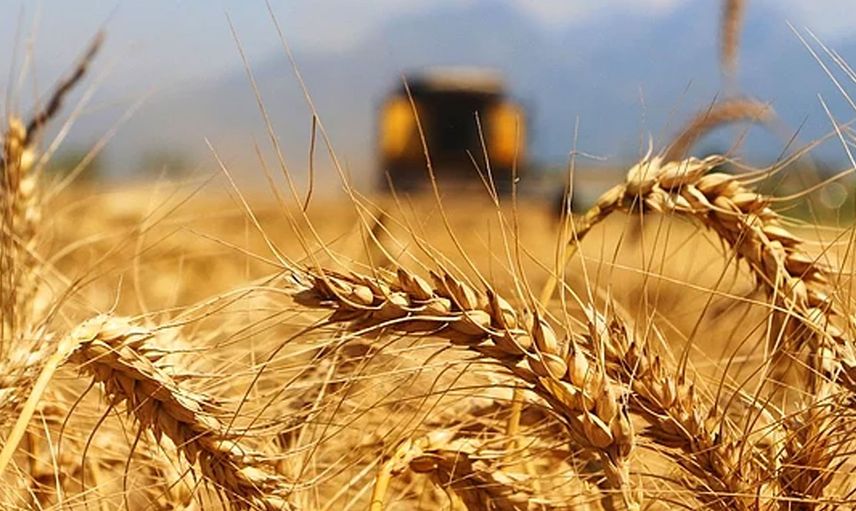 Son Dakika: Tarım Ürünlerinde Gümrük Vergisi Sıfıra Çekildi!