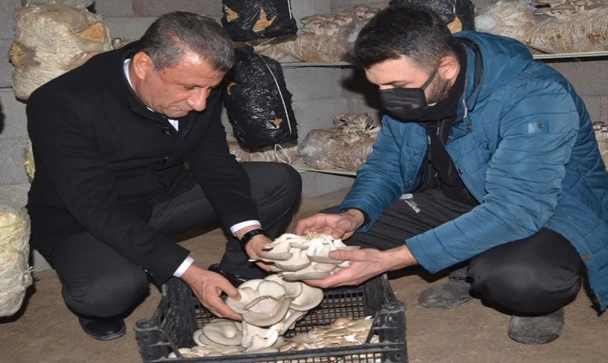 Sosyal medya ilham kaynağı oldu: Girişimci Macit Han, evini üretim tesisi haline getirdi!
