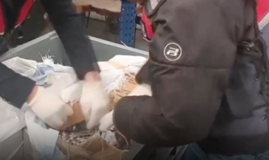 Sosyal Medya Üzerinden Uyuşturucu Satanlara Operasyon: 99 Tutuklama