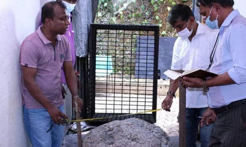 Sri Lankalı İşçiler Bahçede 100 Milyon Dolarlık Safir Buldu
