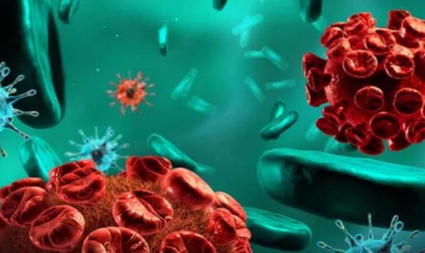 Süper Bakteri Tehlikesi: 2050'ye Kadar 40 Milyon Kişi Hayatını Kaybedebilir