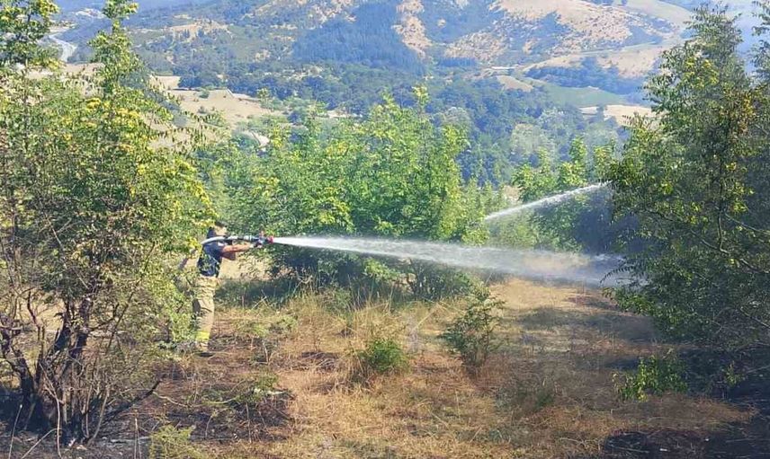 Susurluk'ta çıkan yangında 85 arı sandığı yandı