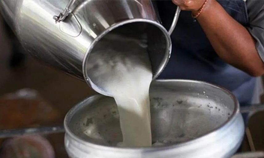 Süt üreticilerine müjde: 1 Ekim’de başlıyor