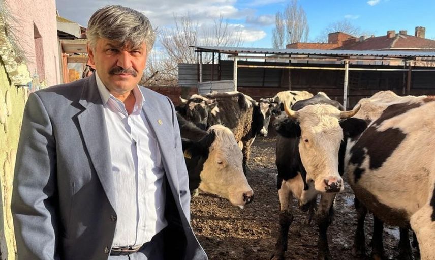 Süte gelen zammın ardından yem fiyatları da tavan yaptı! Besicilerin hevesi kursağında kaldı