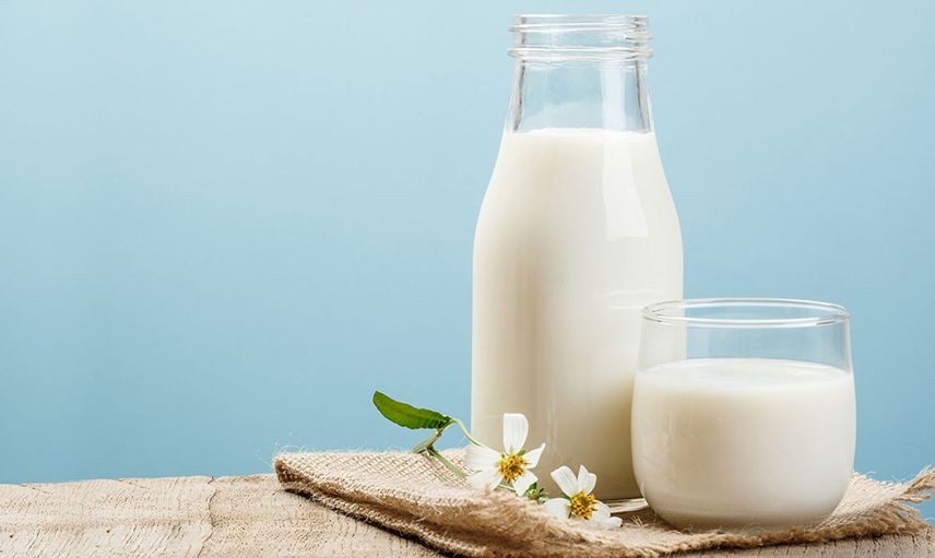 Sütün Yararları Nelerdir?