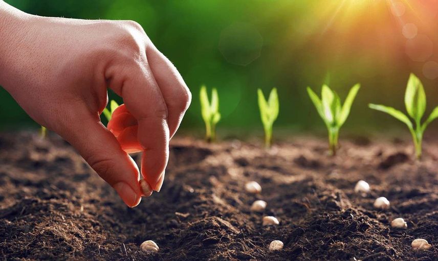 Tarım Ekonomisi DGS 2022 taban puanları ve bölüm kontenjanları