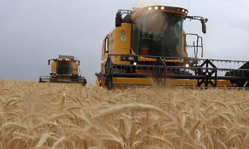 Tarım Kredi Kooperatifi kredi yapılandırma işlemi nasıl yapılır? Tarım Kredi Kooperatifi faiz affı 2022 borç yapılandırma ve taksitlendirme işlemleri