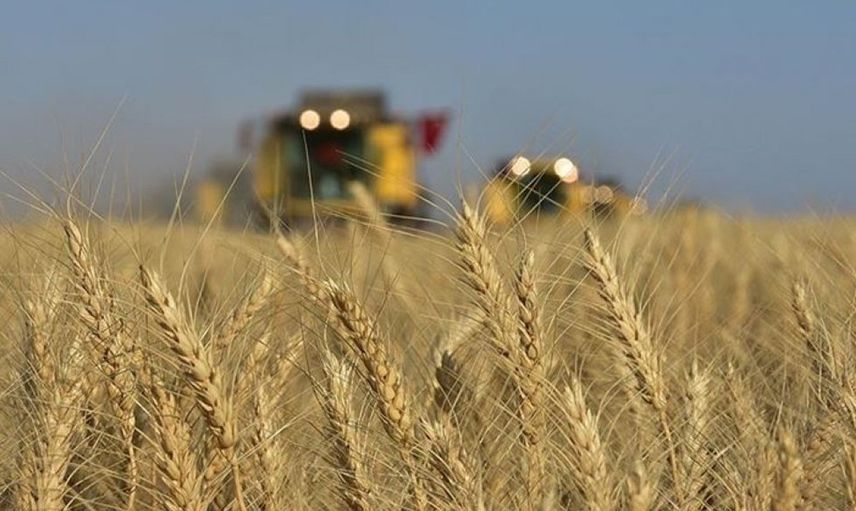 Tarım ve Orman Bakanı Bekir Pakdemirli: Yetiştiriciler Yüksek Yem Maliyetleri Altında Ezilmeyecek