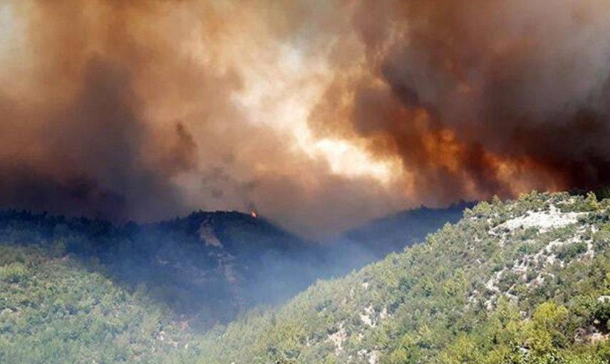 Tarım ve Orman Bakanı: Tüm Yangınlarda İyiye Doğru Bir Gidiş Var