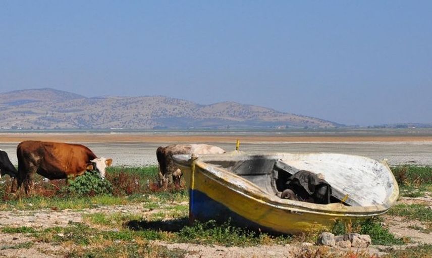 Tarım ve Orman Bakanlığı çalışmalara başladı: Kuş Cenneti eski günlerine dönüyor