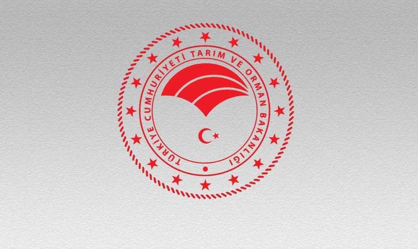 Tarım ve Orman Bakanlığı sadece KPSS şartlı personel alımı yapacak! Başvuru şartlarını karşılayan 8 bin TL maaş alacak