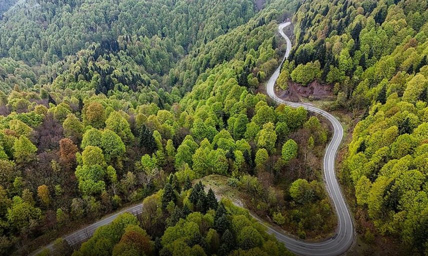 Tarım ve Orman Bakanlığı'ndan Orman Yangınlarına Karşı Kritik Uyarı
