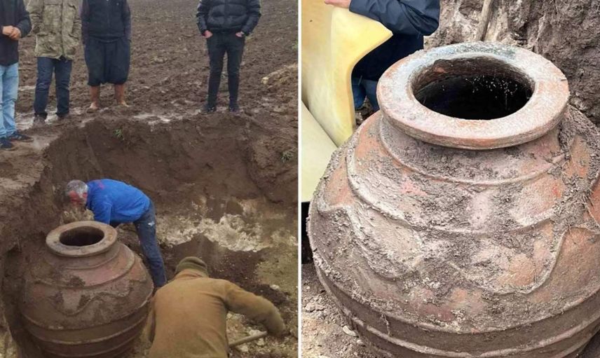 Tarla sürerken bulundu: Hemen koruma altına alındı
