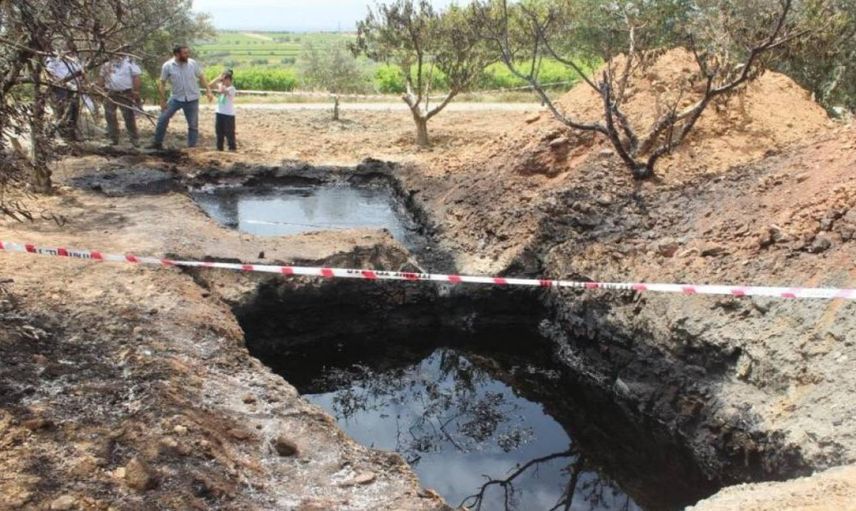 Tarlasından servet akıyor: 50 milyon dolar teklif ettiler