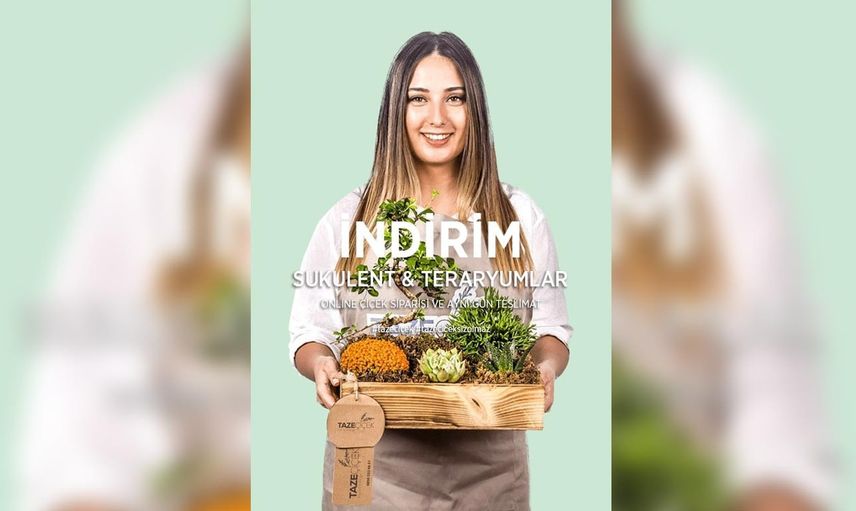 Taze Çiçek ile konsepte uygun çiçekler! Özel tasarımlar için tüm çiçekleri öğren!
