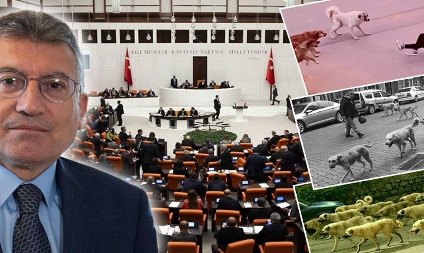 TBMM Tarım, Orman ve Köyişleri Komisyonu'nda Sahipsiz Sokak Hayvanları Kanun Teklifi Görüşmesi: Gergin Anlar Yaşandı