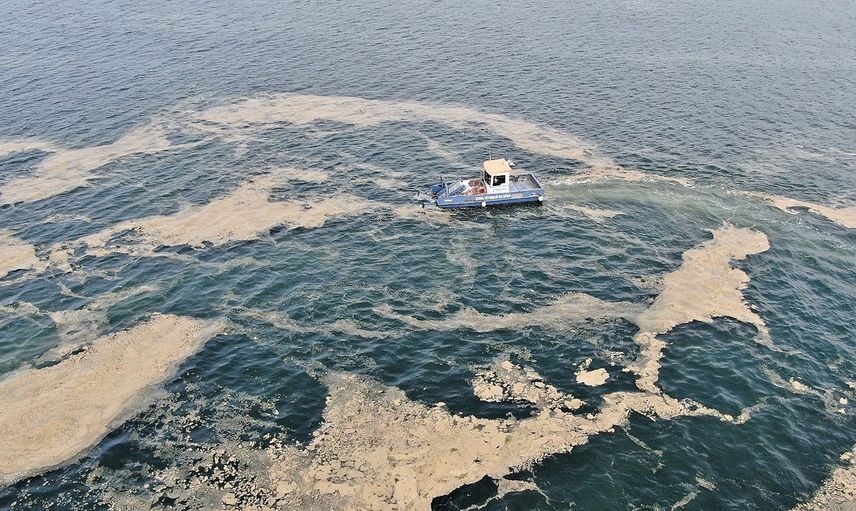 Tehlike Artıyor! Deniz Salyası Rotasını Ege Denizi'ne Çevirdi