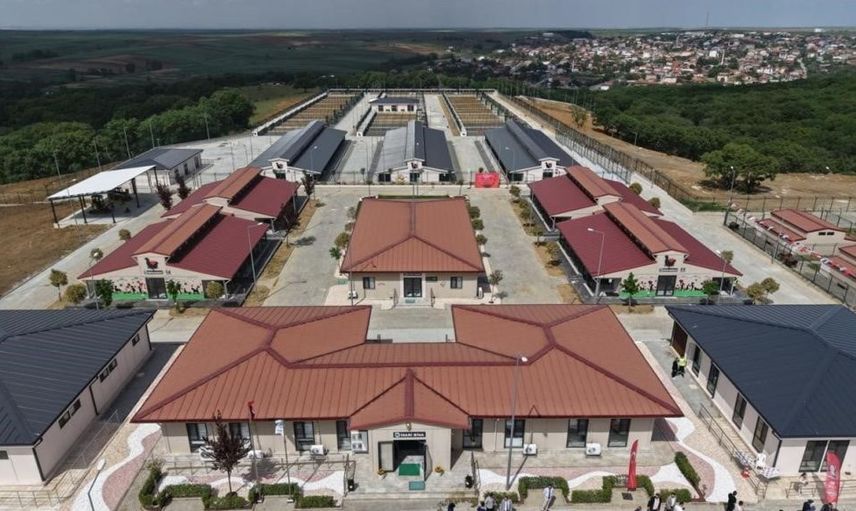 Tekirdağ'da 5 binden fazla sahipsiz hayvana umut oldular