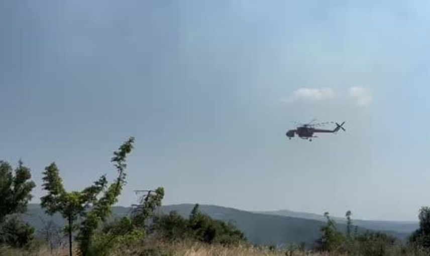 Tekirdağ’da anız yangını ormana sıçradı