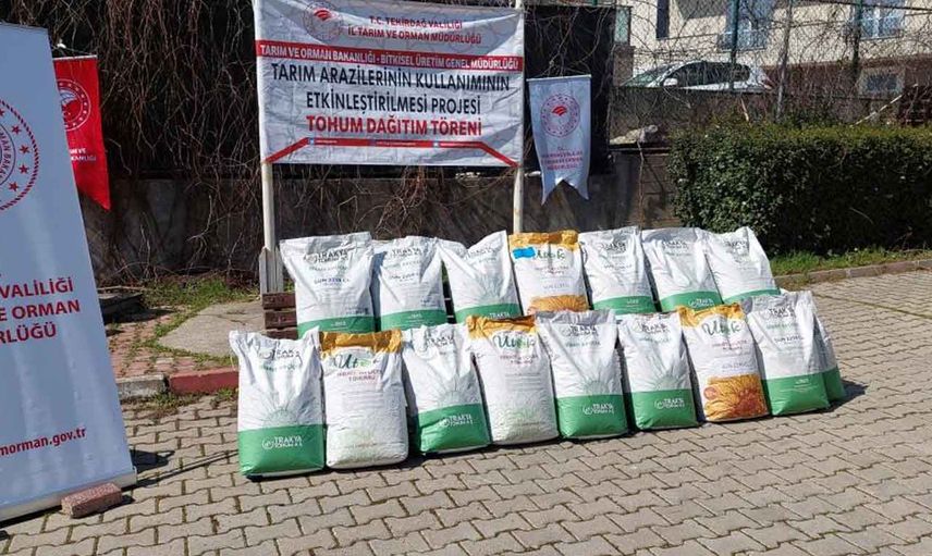 Tekirdağ'da ayçiçeği ithalatına karşı yerli tohum: Tarım ve Orman Bakanlığı üreticiye 2 buçuk ton hibrit tohum dağıttı!