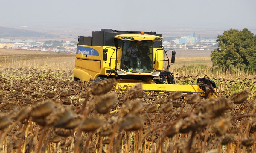 Tekirdağ'da Yerli Ayçiçeği Tohumu Projesi’nde Yetiştirilen Ürünlerin Hasadı Yapıldı