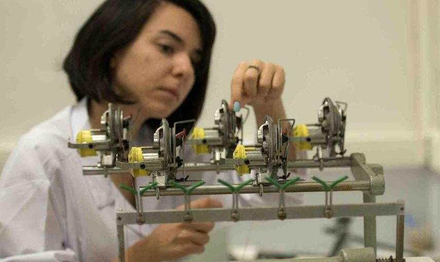 Tekstil Mühendisliği DGS 2022 taban puanları ve bölüm kontenjanları