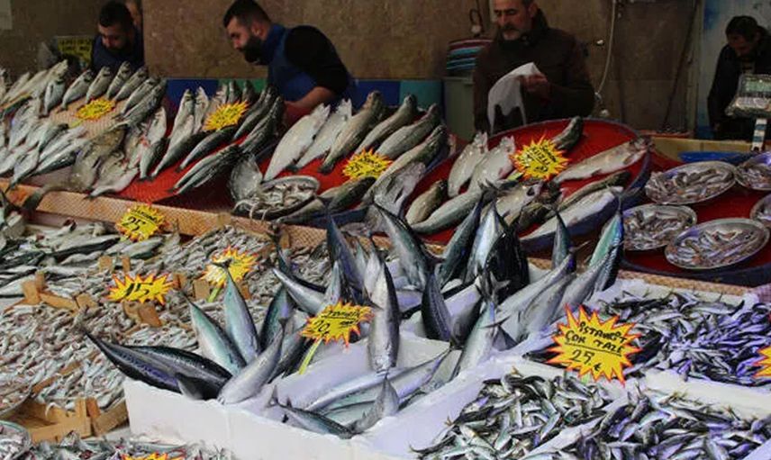 Tezgahlar Bereketlendi Balık Fiyatları Düştü