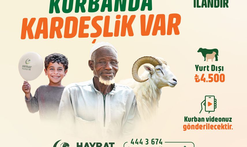 Petek temizlemek neden önemli? Kalorifer peteği temizliği nasıl yapılır? Pratik ve etkili kalorifer temizliği...