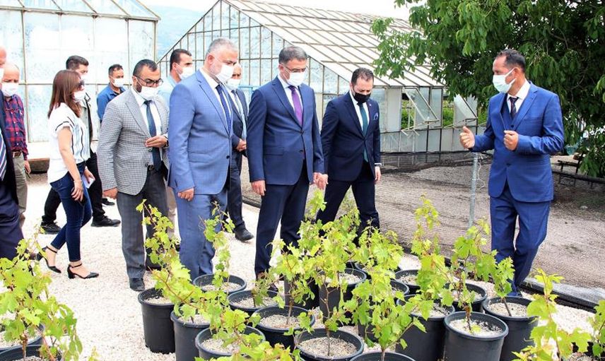 Tokat’ta 60 Bin Tüplü Asma Fidanı Tören Yapılarak Emektar Üreticilere Dağıtıldı