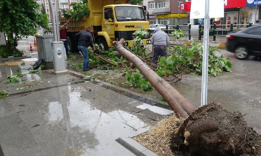 Tokat’ta Etkili Olan Rüzgar Etrafı Birbirine Kattı