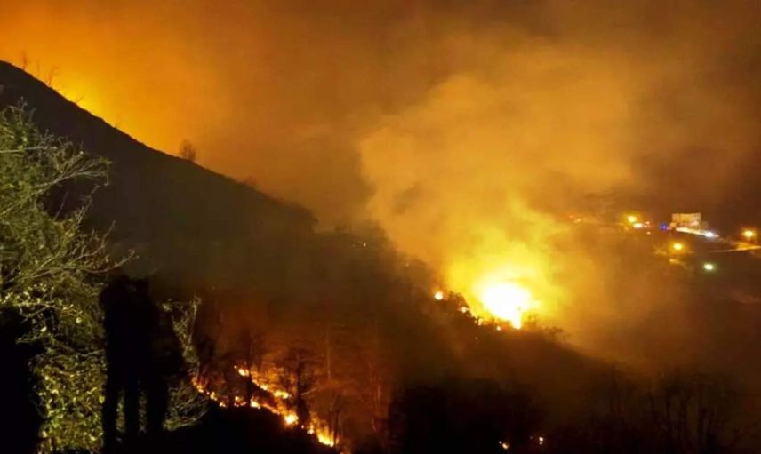 Trabzon’da korkutan orman yangını: Çok sayıda ekip bölgeye sevk edildi