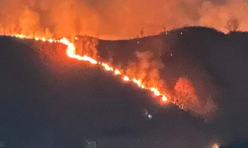 Trabzon'da korkutan yangın! 10 dönümlük alan alev aldı
