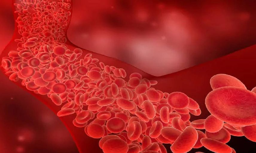 Trombosit düşüklüğü nelere sebep olur? Trombosit nedir?