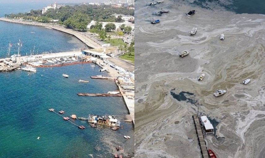 Tüm Türkiye Tek Yürek Olmuştu! Caddebostan Sahili 3'üncü Gününde Müsilajdan Temizlendi