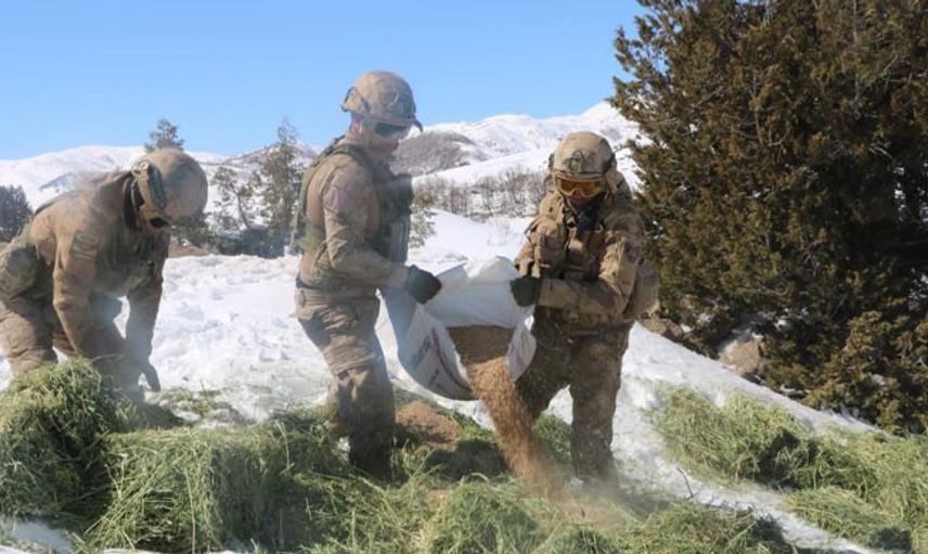 Tunceli’de Yaban Hayvanları Helikopterler Yardımıyla Beslendi