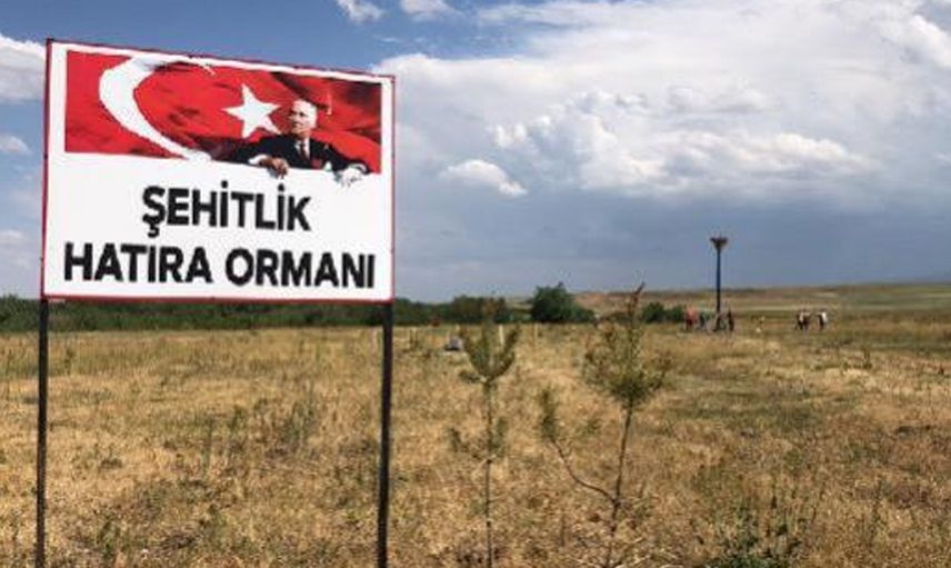 Turistin Sözlerine Üzüldü Köyüne Orman Kurdu
