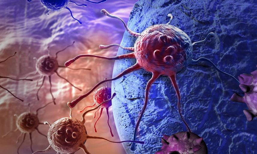 Türk bilim insanları imkansızı başardı: Yeni projeyle kanser hücreleri yok edildi