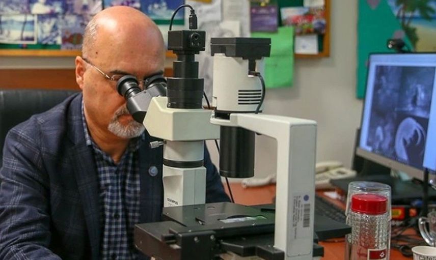 Türk bilim insanlarından heyecanlandıran keşif: Yeni bir canlı türü bulundu
