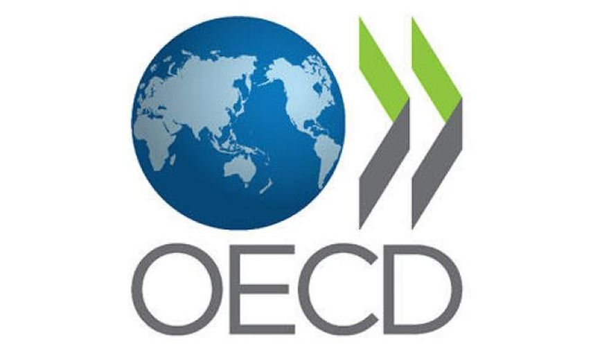 Türk Ekonomisi, OECD Ülkeleri Arasında Zirvede!