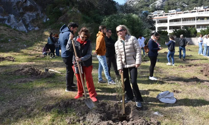 Türk ve Alman Kadınlardan Barış İçin Zeytin Fidanı