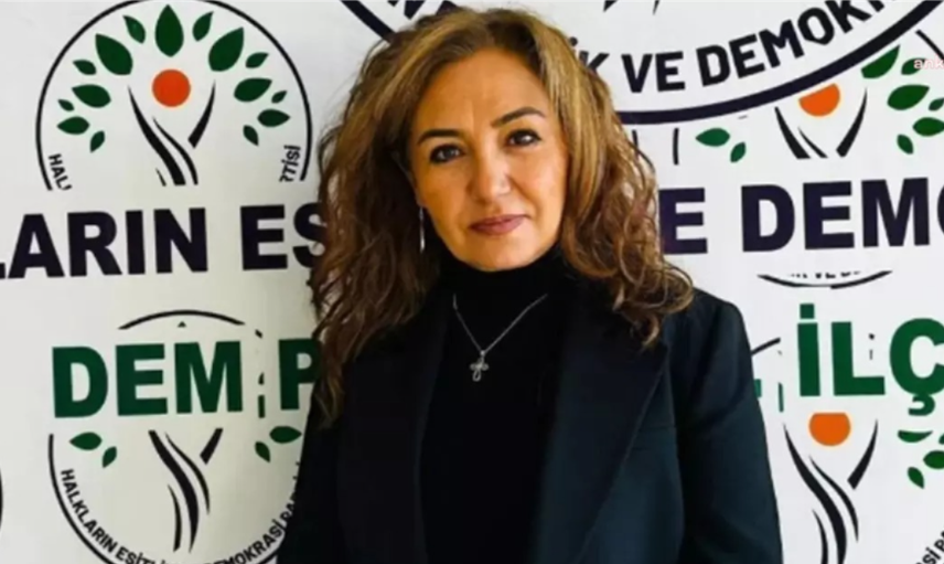 Türkan Kayır, DEM Parti'den ihraç edildi