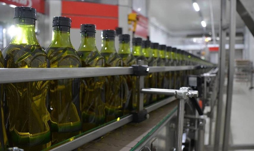 Türkiye zeytinyağı ihracatında coştu: 201 milyon dolar gelir elde edildi