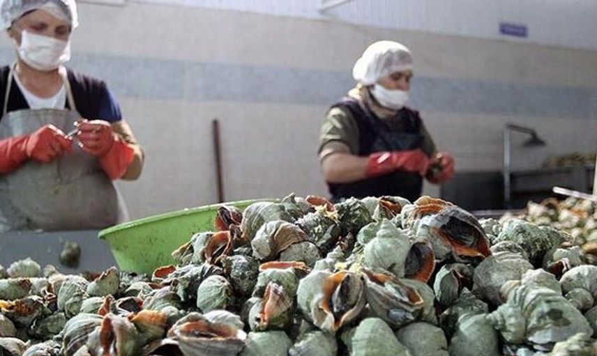 Türkiye'de Üretilip, Tüm Dünyaya Satılıyor
