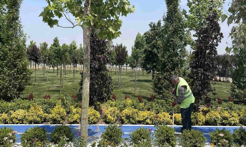 Türkiye’nin en büyük parkı oldu! Atatürk Havalimanı Millet Bahçesi’ne 145 bin ağaç dikilecek