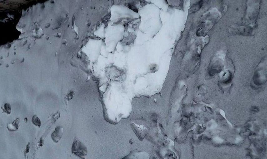 Ukrayna'da Siyah Renkte Kar Yağdığını Gören Vatandaşlar Tedirgin Oldu!