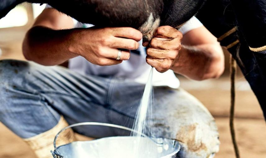 USK yeni fiyatı açıkladı: Süt fiyatına zam geldi