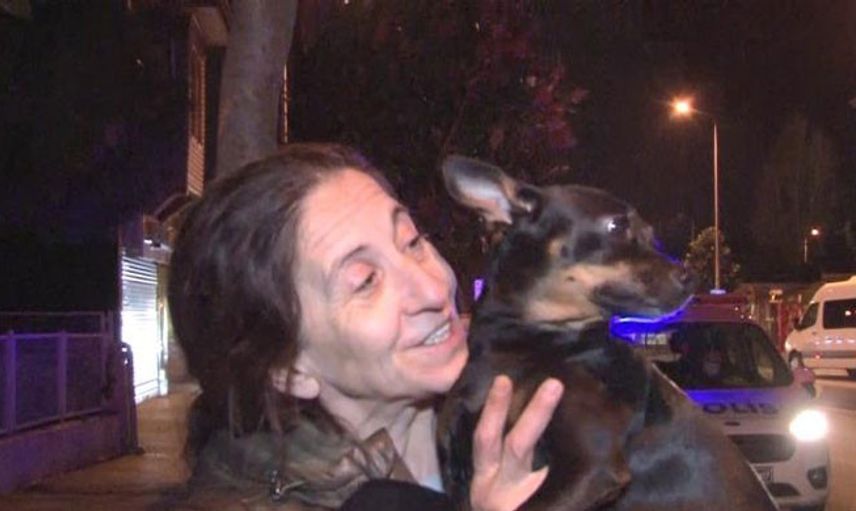 Üsküdar’da Çıkan Yangında Uyuyakalan Kadını, Kahraman Köpeği Kurtardı!