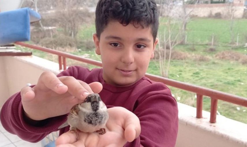 Üşüyen Serçe Kuş, Ömer’in Minik Avuçlarında Isındı